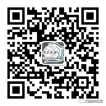 篮球教练如何为不同年龄段的球员制定战术训练方案?_2
